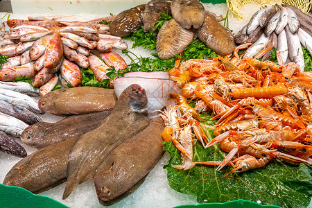 冰上鱼和海鲜饮食渔业钓鱼市场销售章鱼食物营养甲壳盐水图片