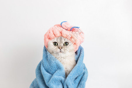 洗完澡后 穿着蓝色毛巾包在头上的粉红色大衣帽上高清图片