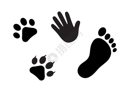 黑猫手黑猫和白猫狗以及人类手印和脚印图标插画