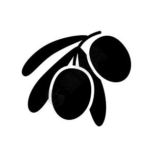 橄榄枝图标橄榄枝 树叶和橄榄向量图标字形处女叶子水果绿色标识插图植物食物蔬菜插画