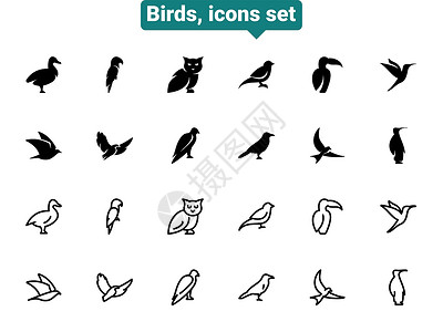 动物双歧杆菌一组黑色矢量涂鸦图标 在白色背景下隔离 主题鸟上的平面插图插画