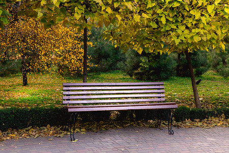 秋天在市公园的木板凳高清图片