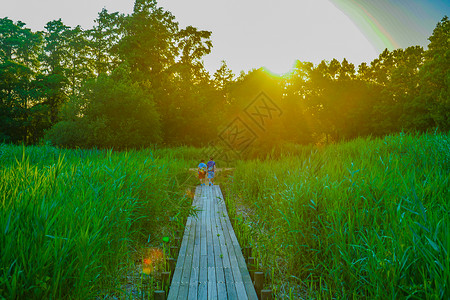 水公园和黄昏的日落视图水分天空草原美景公园背景图片