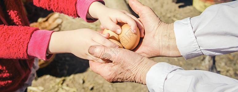 鸡肉家鸡蛋在手头 有选择的焦点木板食物孩子幸福婴儿生活喂养祖母横幅皱纹背景图片
