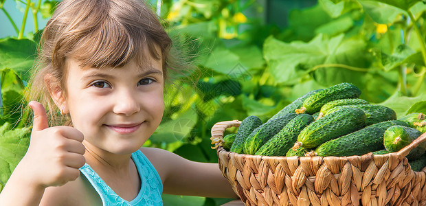 拟人平菇爱黄瓜手工种植黄瓜和收割在手中栽培生态孩子青菜小屋篮子幸福生物农场收成背景