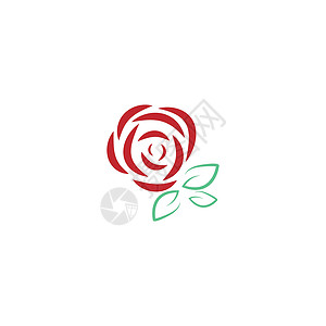红玫瑰图标设计插图植物群绿色红色叶子花束植物花瓣婚礼背景图片