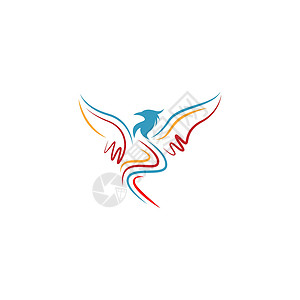 凤凰徽标图标设计标识翅膀红色动物公司羽毛徽章商业飞行火焰背景图片