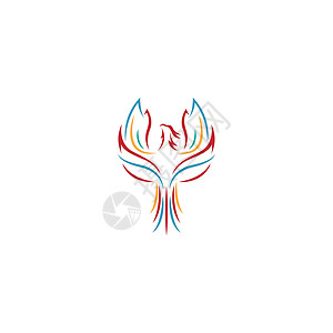 凤凰徽标图标设计徽章商业羽毛创造力飞行翅膀火焰公司动物红色背景图片