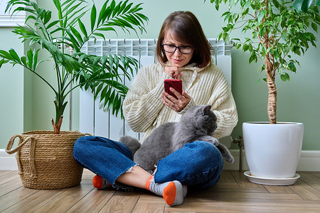 捕捉天气猫在家使用智能手机的妇女 在暖气散热器附近与猫一起变暖闲暇宠物女性房间家电温度暖气片房子季节毛衣背景