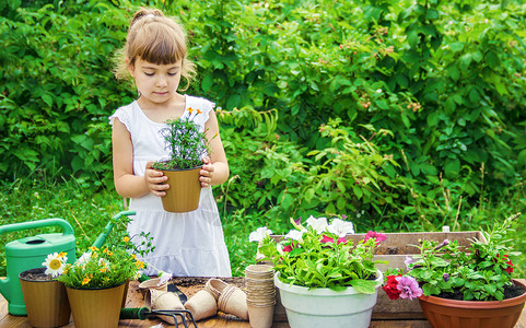 女孩浇水花园一个小女孩在种花 年轻的园丁 有选择的专注蔬菜温室桌子植物木板餐厅女孩女儿照片母亲背景