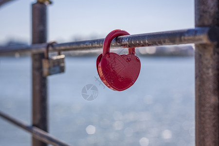 以湖为背景 象征爱情和忠诚的心形门锁挂在桥的围栏上 心形城堡象征着忠诚和爱情挂锁保真度天鹅家庭婚姻背景图片