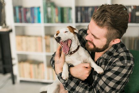 我有责任杰克罗素梗犬的快乐男主人 站在书架背景下 感到有责任照顾宠物 人与动物的关系晴天情绪化犬类感情朋友猎犬成人友谊小狗公寓背景