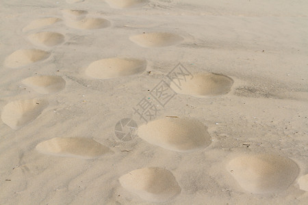 脚印沿海材料沙丘爬坡地貌岩石假期游客植被地带背景图片