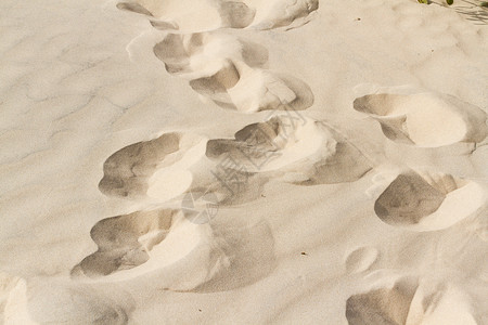脚印地带沙丘材料植被游客颗粒地貌沿海矿物岩石背景图片