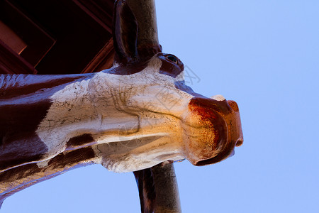 雕塑艺术天空视觉蓝天长角牛动物背景图片