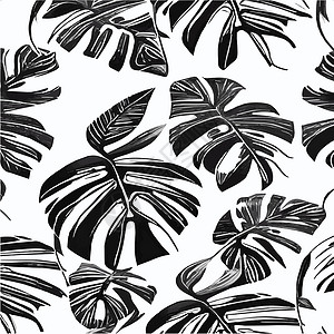 黑色和白色植物外来树叶无缝的黑色和白色图案 现代抽象矢量装饰背景 热带棕榈叶手绘打印插图香蕉丛林异国纺织品植物卡片情调插画