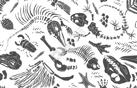 迪妮莎和古妮雅孤立的黑色模板在白色背景上印下了史前动物 昆虫和植物的骨骼 无缝模式逼真的手绘艺术 矢量图插画