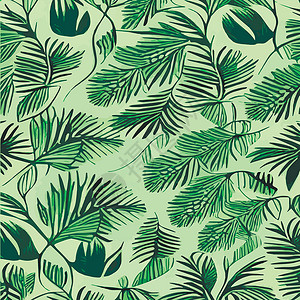 潘西亚以热带叶为例的丛林矢量说明 Trindy 夏季印刷品 异光无缝模式 松绿纺织品植物群植物包装假期墙纸植物学叶子织物异国插画