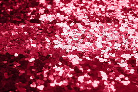 紫红色万岁 2023年的新潮流颜色 美丽的花朵花瓣墙纸植物群植物学植物洋红万岁花园背景图片