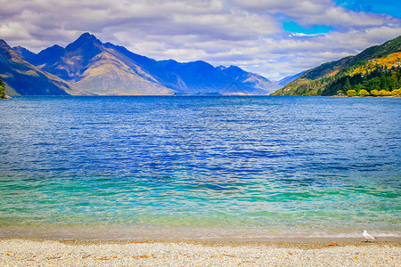 新西兰南部皇后镇附近Wakatipu湖海岸线的南新西兰山脉非凡者蓝色旅游森林旅行日落天空风景鸟瞰图背景图片