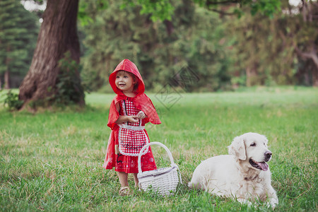 全职猎人漫画婴儿穿着小红帽服装和金毛猎犬而不是狼背景