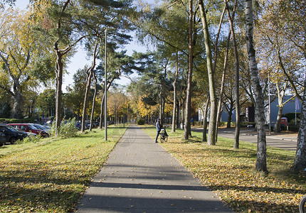 约惠金秋在金秋叶的公园里 男骑自行车的男子 年月变换背景