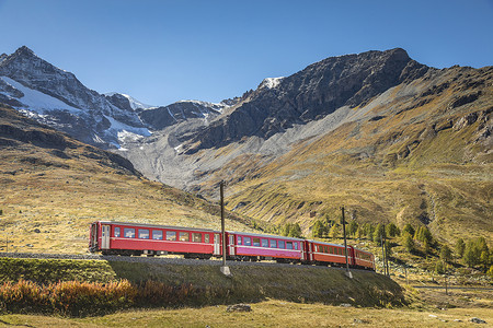西纳拉瑞士列车在瑞士恩加丁伯尔尼纳口附近阿尔卑斯山的瑞士列车全景旅行晴天爬坡冰川假期草地林地风景旅游背景