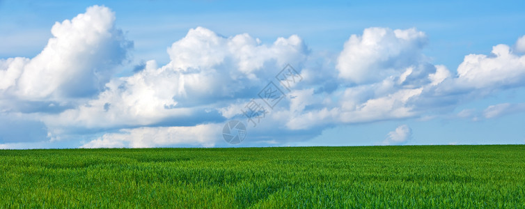 春假在农村 春天的农场     丹麦朱特兰季节土地晴天环境小麦草地太阳天气地平线风景图片