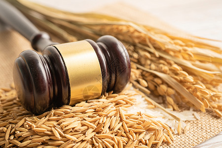 用来自农业农场的优质谷物米判断木槌锤 法律和司法法庭的概念收成曲线烹饪植物营养金子粮食木头稻田种子背景图片
