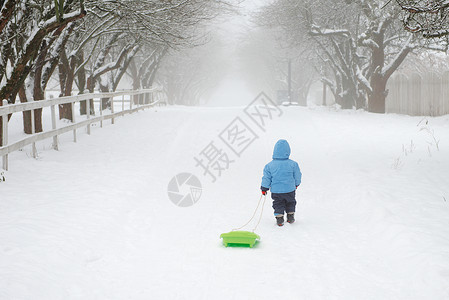 雪小孩一个男孩独自走回家 将他的雪橇拖在身后背景