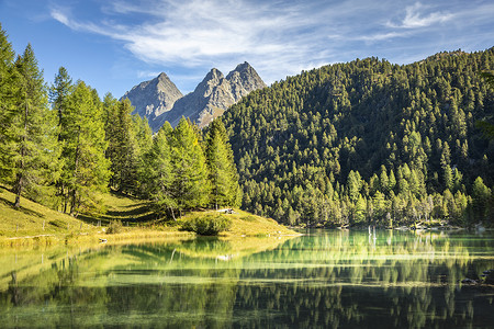 瑞士格里森斯山口Albula山的Alpula湖湖水面蓝色假期反射松树天空风景爬坡山脉旅行背景图片