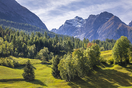 布拉内洛瑞士格劳本登州恩加迪内上层的苏氏体阿尔卑斯山地貌流感文化冰川全景天空旅游山峰自然草地晴天背景