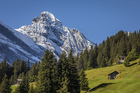 劳特布龙嫩瑞士伯尔尼高山 布雷支山和高山农场 瑞士风景高地旅游雪山乡村谷仓国际小木屋地标冰川背景