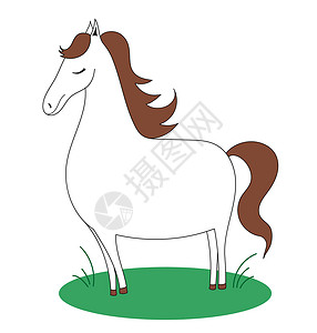 尾巴草白马在草地上长着棕色羊毛 多面马 矢量简单儿童插图插画