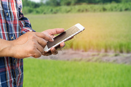 手机素材收集农民使用数字手机收集 报告和分析水稻农业农场的数据 智能农业概念蔬菜控制电话药片传感器花园植物食物水果收获背景