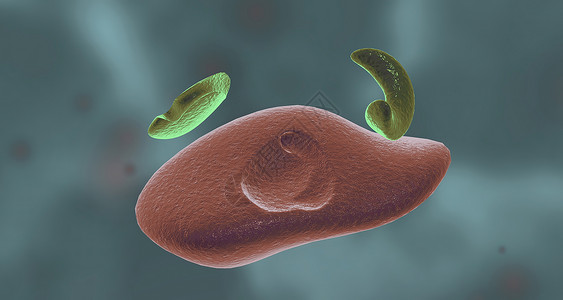 生物活性肽变构抑制位点活化能高清图片