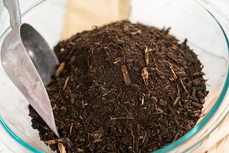 播种种子幼苗有机物花园生活种植集装箱可持续土壤菜园土层背景图片