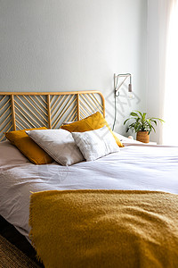 双床 灯具 垫子和植物等舒适卧室的垂直图像 没有人背景图片