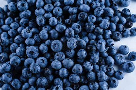 草叶与浆果与水滴的蓝莓 蓝莓夏季季节性浆果 许多天然有机蓝莓水果排毒乡村覆盆子果汁农业蓝色饮食生物收成背景