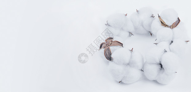 棉籽自然棉花厂高清图片