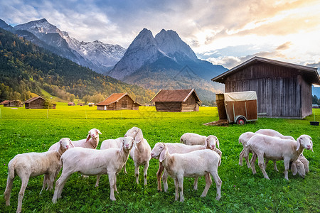 巴什拜羊德国巴伐利亚Garmisch 加米什 牧羊和带生锈的农场谷仓雪山乡村目的地风景国际家畜山羊天空地标旅游背景