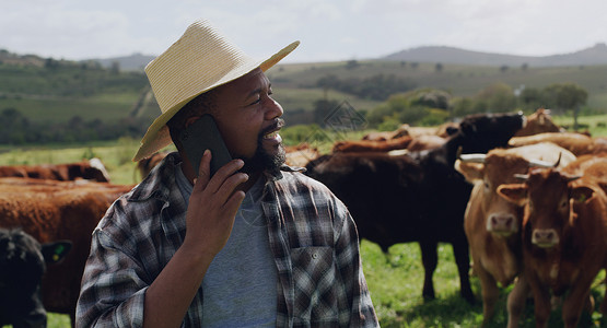 手机中的奶牛大自然母亲是最好的商业伙伴 一个成熟的男人 在养牛场工作时 使用智能手机的成年男子背景