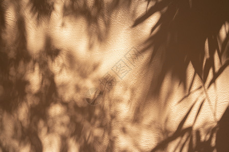 太阳阳光效果自然阴影覆盖在橙色的垃圾墙混凝土纹理背景上 纹理从窗口的光反射背景