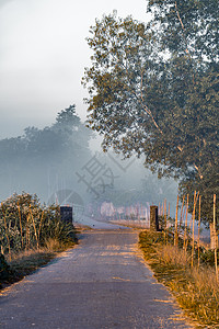 有雾路冬季早晨在Bangladeshi村公路上背景