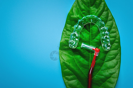 牙体缺损多汁的绿叶 上面有塑料透明支架和红色牙间刷 牙科和美容护理矫正凹痕假牙刷子治疗卫生牙签牙齿工作室持有者背景