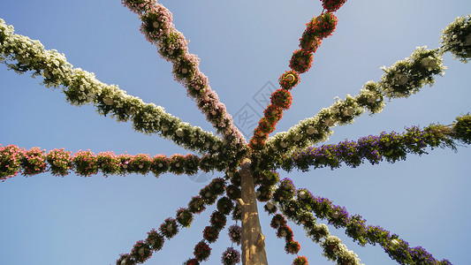 天空里的一束花在一个城市公园里挂着鲜花的园地设计天空背景风景公园花朵色彩场景景观花卉背景