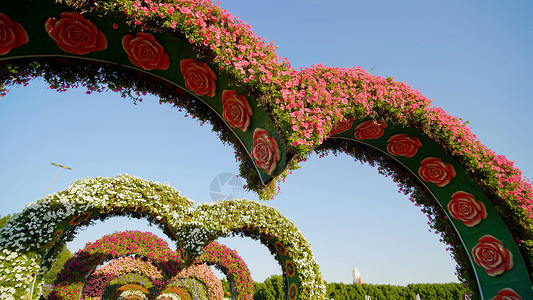 心形花床在心壁之角花卉花园装饰风景探索植物旅行设计展览背景背景图片