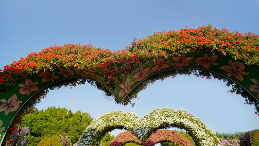 心形花床在心壁之角花卉公园旅行游客天空庭园人行道旅游设计风景背景图片