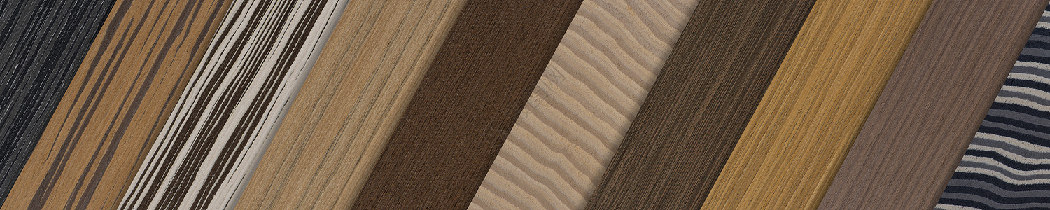 不同种类的木材样品 不同色调和纹理的木饰面 用于生产地板家具或门顶视图的木材样品样本控制板材料房子风格硬木压板收藏松树木工背景图片