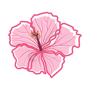 卡卡杜热带热带花朵装饰性外观植物插图粉色异国手绘元素植物学季节草本丛林海滩插画